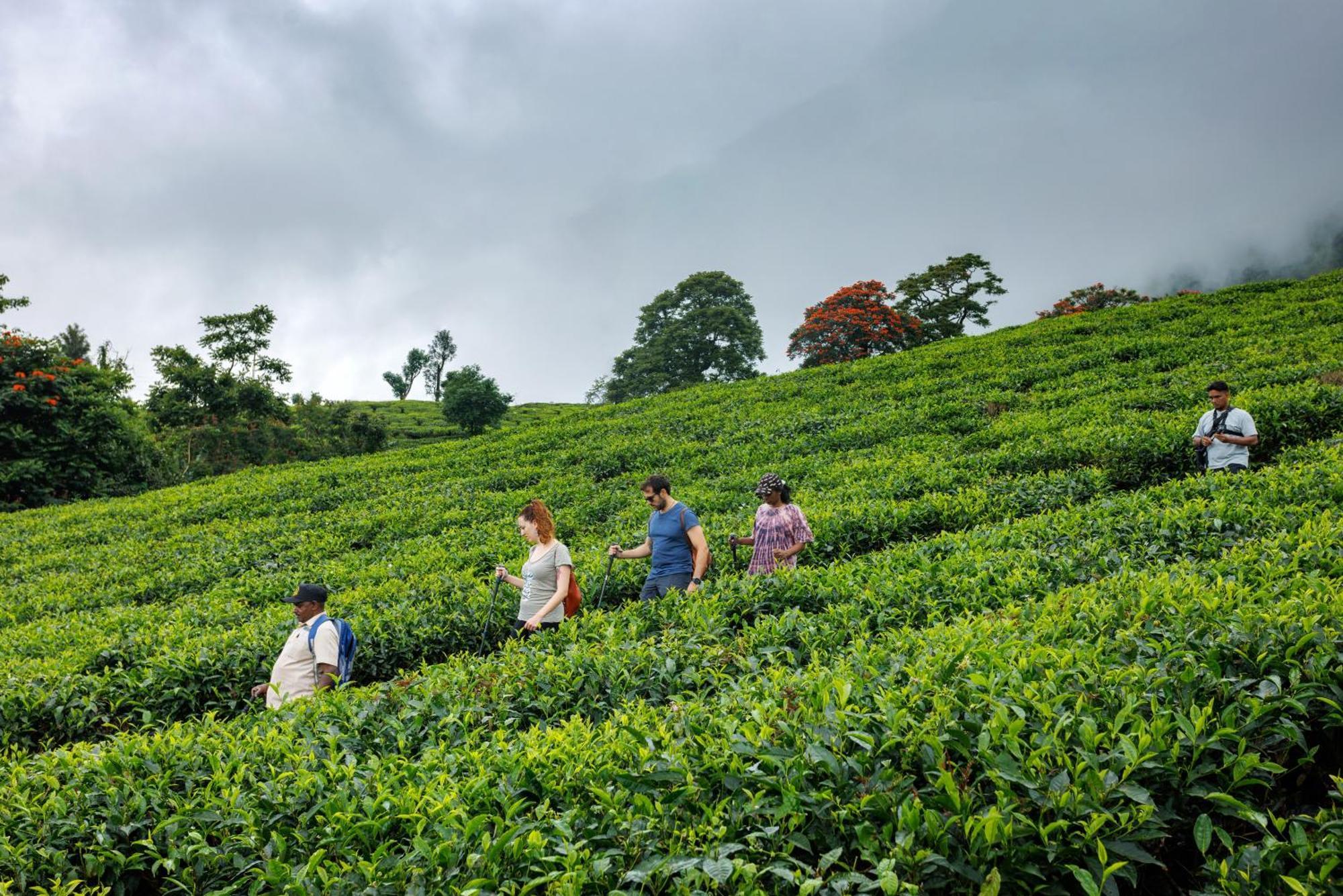 Amber Dale Luxury Hotel & Spa, Munnar Exterior foto