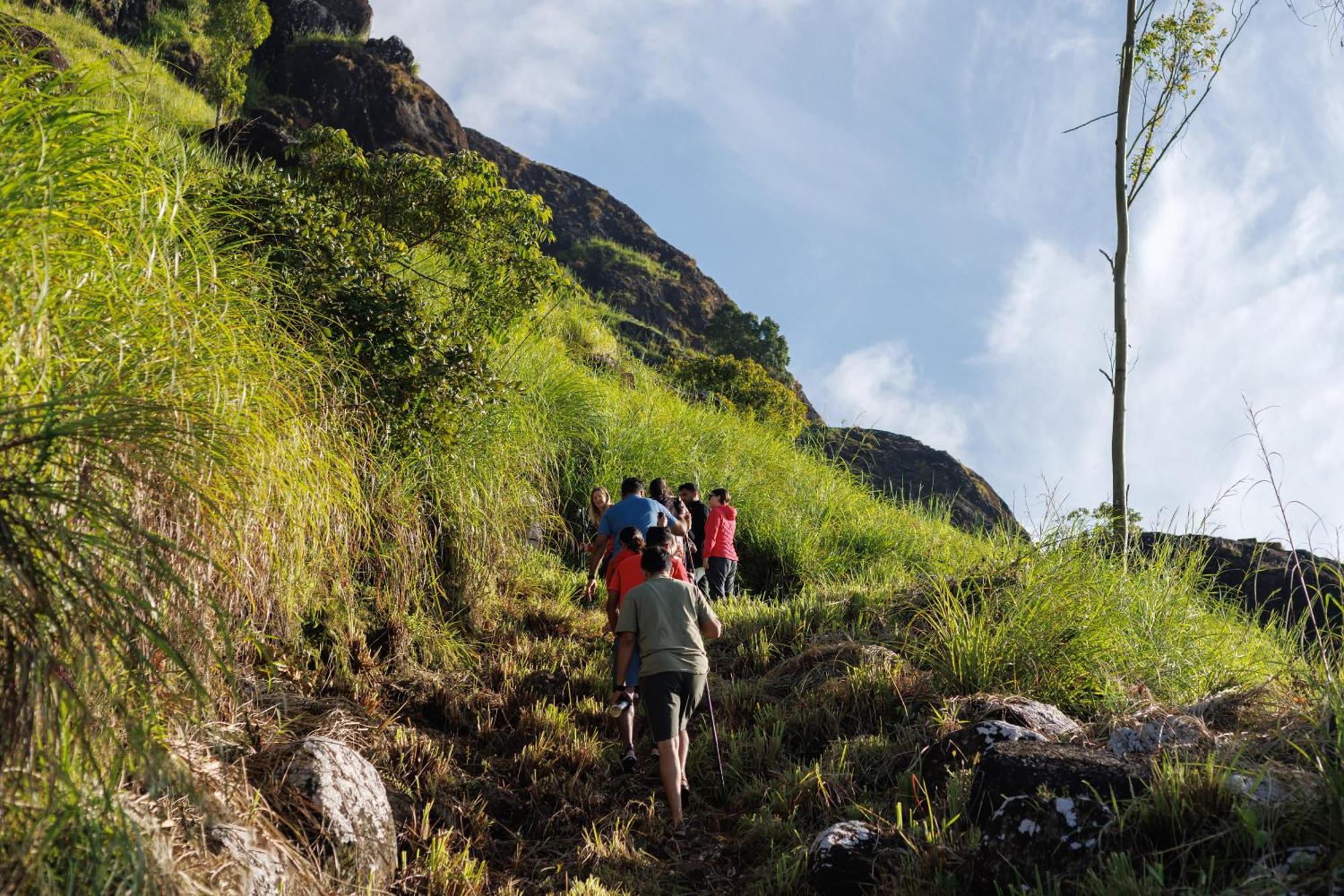 Amber Dale Luxury Hotel & Spa, Munnar Exterior foto