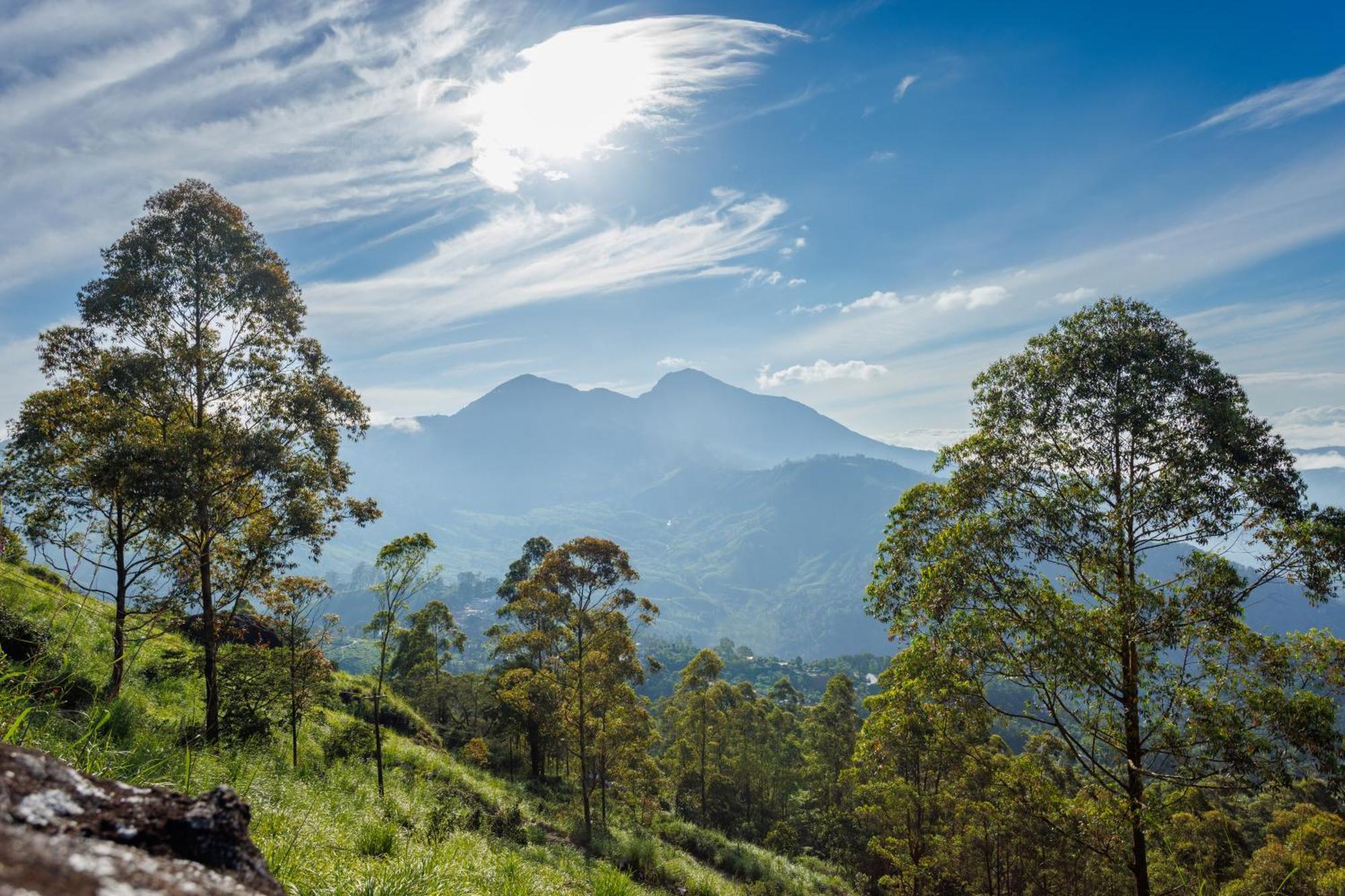 Amber Dale Luxury Hotel & Spa, Munnar Exterior foto