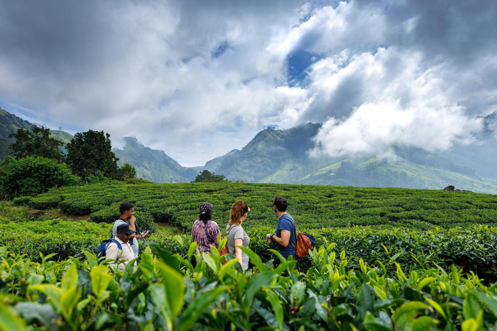 Amber Dale Luxury Hotel & Spa, Munnar Exterior foto